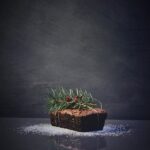 brownie z ciecierzycy